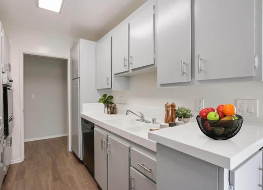 Kitchenat Rose Apartments, Los Angeles
