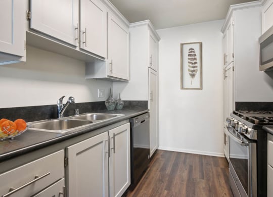 Kitchen gallery at Rose Apartments, Los Angeles, 90034
