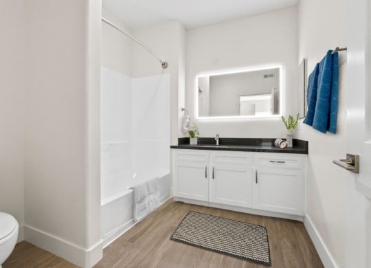 Bathroom at Toluca Court, Toluca Lake, CA