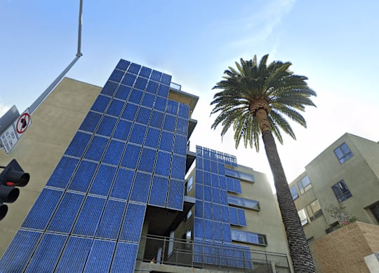 A tall building with blue panels and a palm tree in front of it.