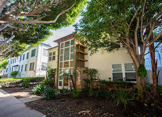 A tree is in front of a building with a white door.