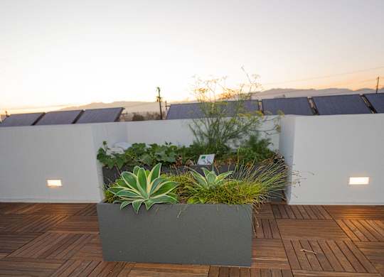 Rooftop with Community Garden
