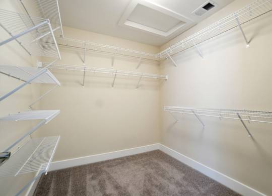 Empty walk-in closet with shelves and carpeted floor.