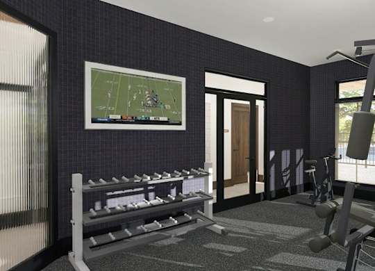 A gym with a bench, weights, and a mirror.