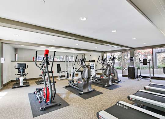 State-of-the-art fitness center with Cardio equipment including treadmills, Rowing machines, elliptical trainers, Stationary bicycle,  carpet flooring