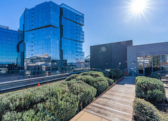 a roof top terrace with bushes and buildings in the background
