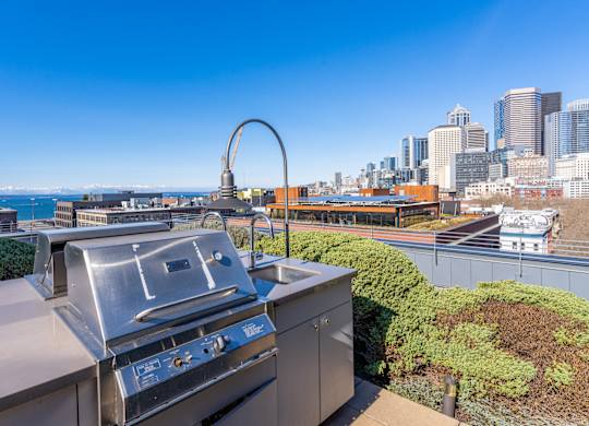 a barbecue grill with a view of the city