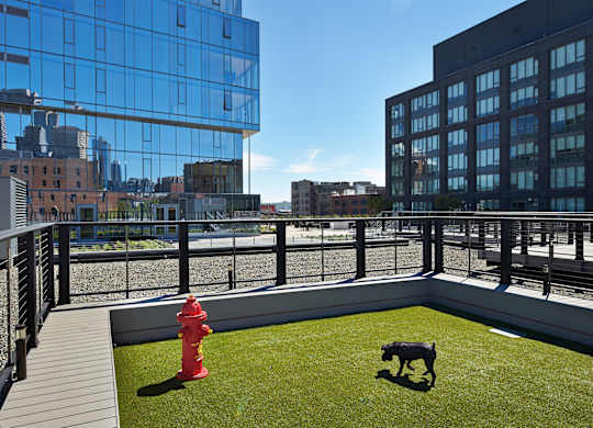 a roof terrace with a dog lawn and a fire hydrant