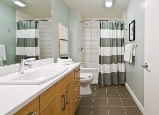 a bathroom with a sink and a toilet and a shower