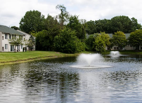 Fountain at Woodland Meadows, Michigan, 48035