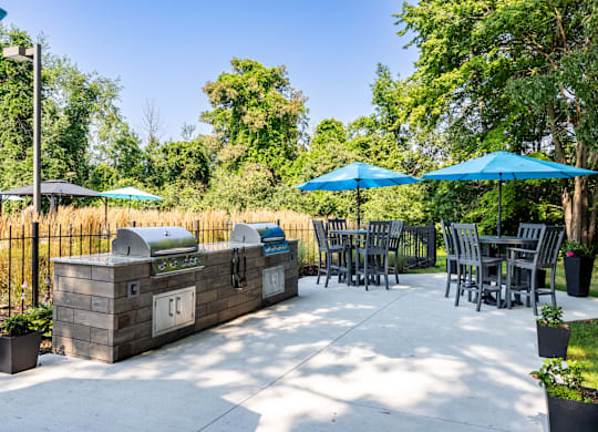 Outdoor Kitchen at Hidden Lakes Apartments, Clarkston