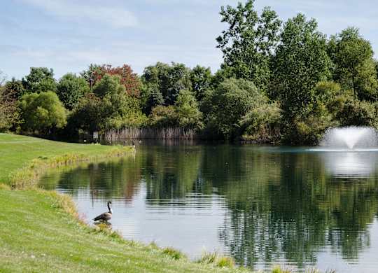 Fountain in the middle of lake at Hidden Lakes Apartments, Michigan