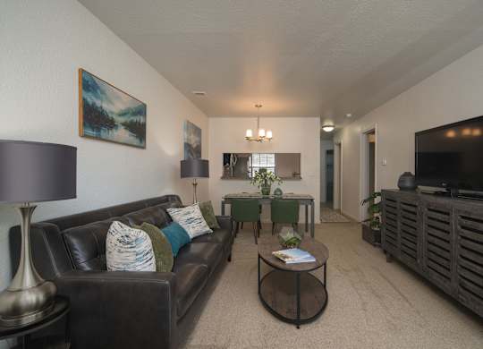 A living room with a couch, coffee table, and television.