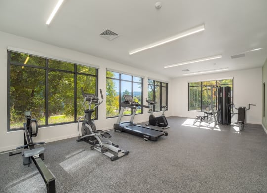 the gym has plenty of exercise equipment and windows