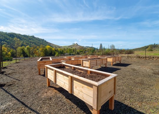 a row of raised garden beds in a field