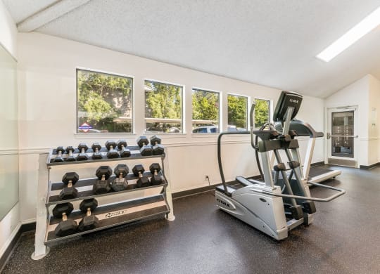 Enchanted Woods_Gym