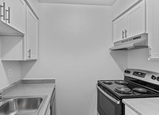 A kitchen with a stove, sink, and cabinets.