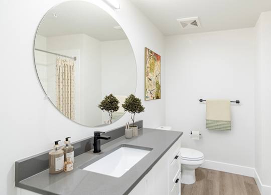 A bathroom with a round mirror, sink, toilet, and a potted plant.