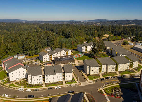 A bird's eye view of a residential area with houses and a roundabout.