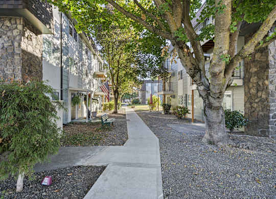 a tree lined sidewalk in front of a row of houses