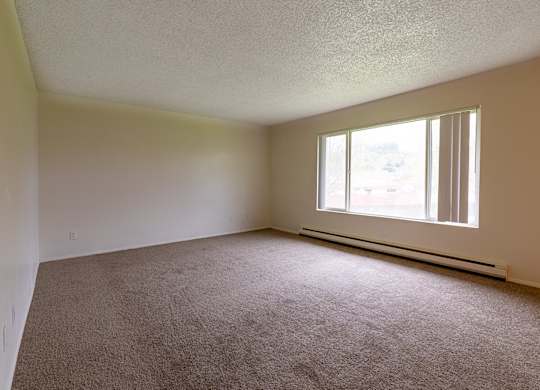A room with a carpeted floor and a window.