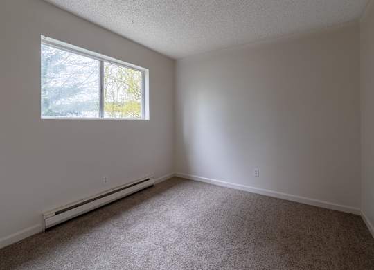 A room with a window and a carpeted floor.