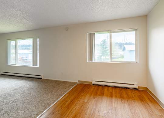 A room with a window and a carpeted floor.