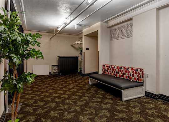 A room with a bench and a tree.
