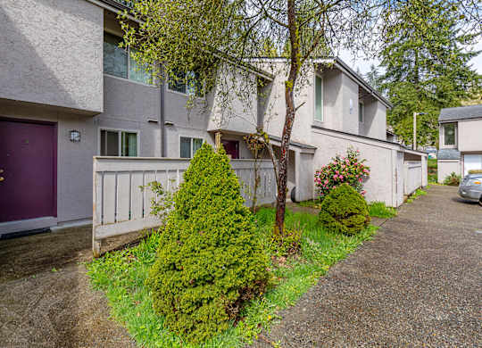 A residential area with a purple door and a green bush.