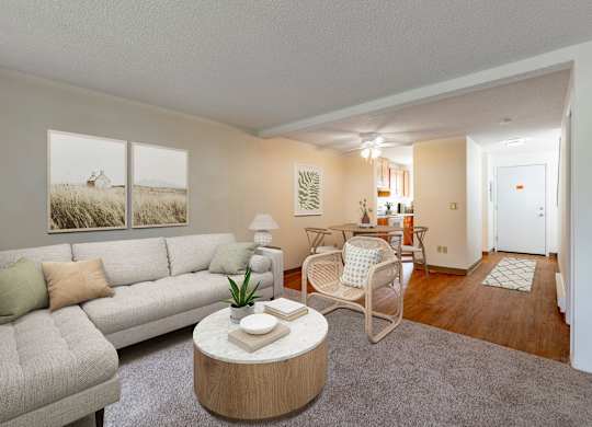 A living room with a grey couch, a white coffee table, and a grey rug.