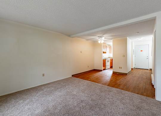 A large, empty room with a carpeted floor and wooden flooring in the background.