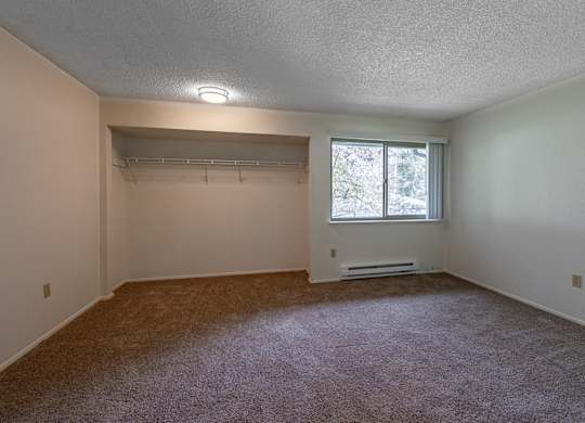A room with a carpeted floor and a window.