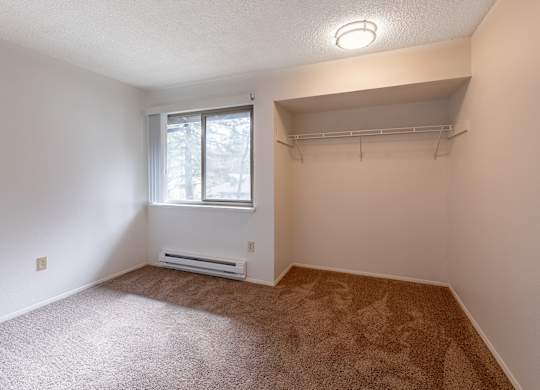 A room with a carpeted floor and a window.