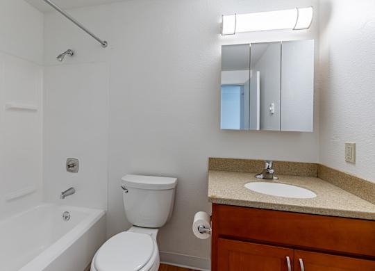 A white toilet sits next to a sink in a bathroom.