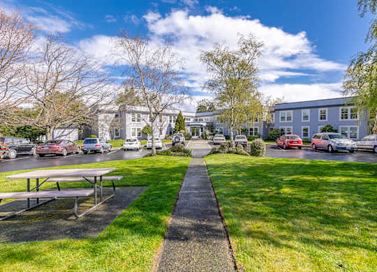 A sunny day at a park with a picnic table and cars parked in the background.