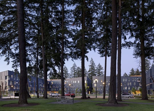 a row of apartment buildings with trees in the foreground