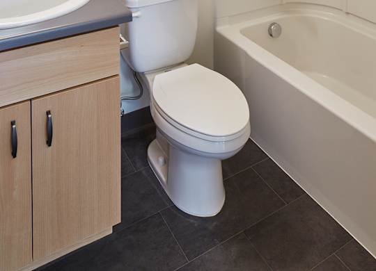 A white toilet sits next to a sink in a bathroom.