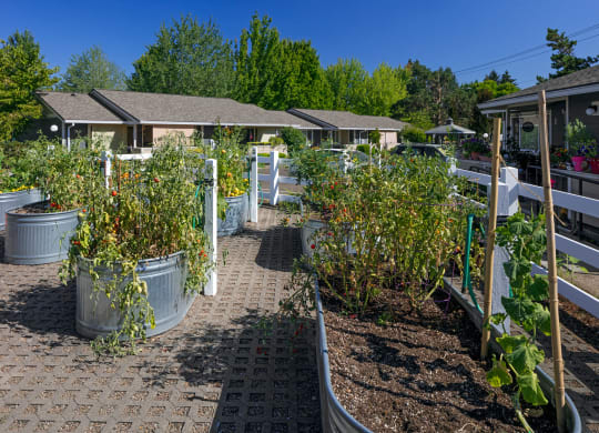 Stewart Terrace_Grounds