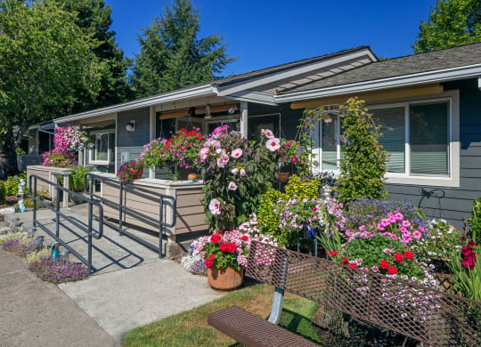 Stewart Terrace_Grounds