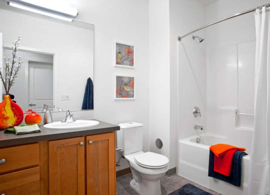AcadiaGardens_Photo_Bathroom