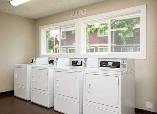 A row of white washing machines in a laundromat.
