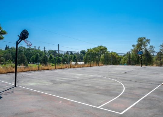 The Bluffs Basketball Court
