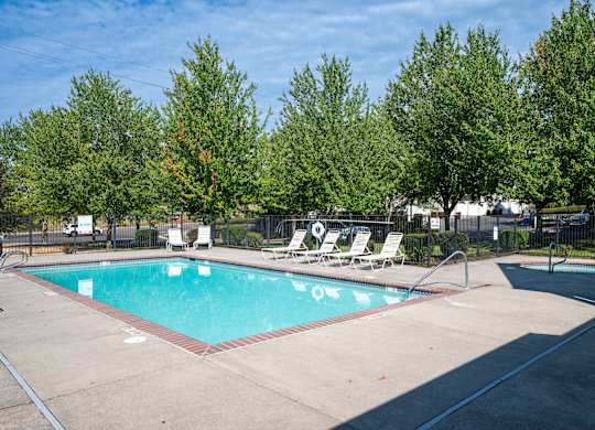 A swimming pool surrounded by trees and lounge chairs.