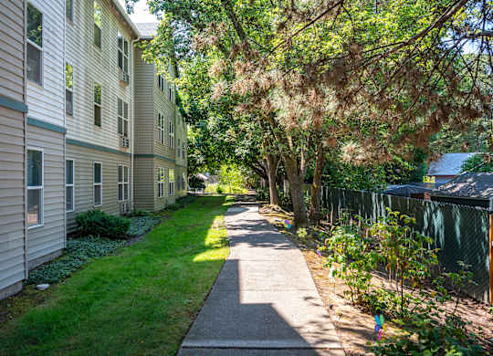 A tree-lined walkway between two buildings.