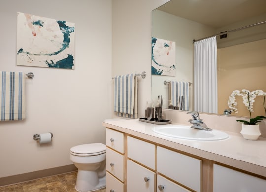 Buckman Heights_ One Bedroom