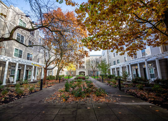 Buckman Heights_Courtyard