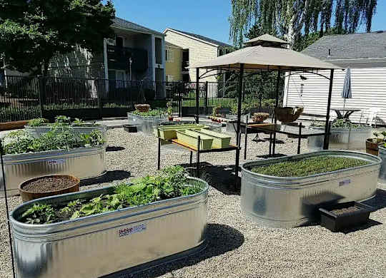 A garden with raised beds and a table with chairs is set up in a backyard.