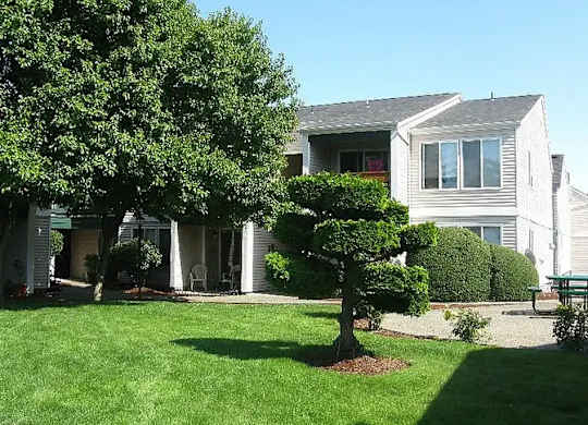 A tree in a front yard of a house.