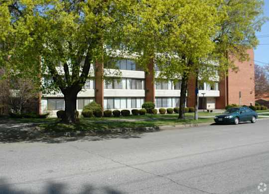 A tree with yellow leaves is in front of a building.