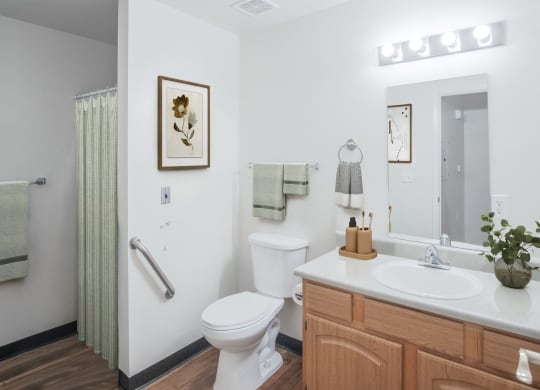 a bathroom with a toilet sink and mirror and a shower